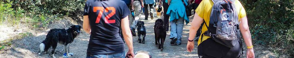 Adria Wandern mit Hund