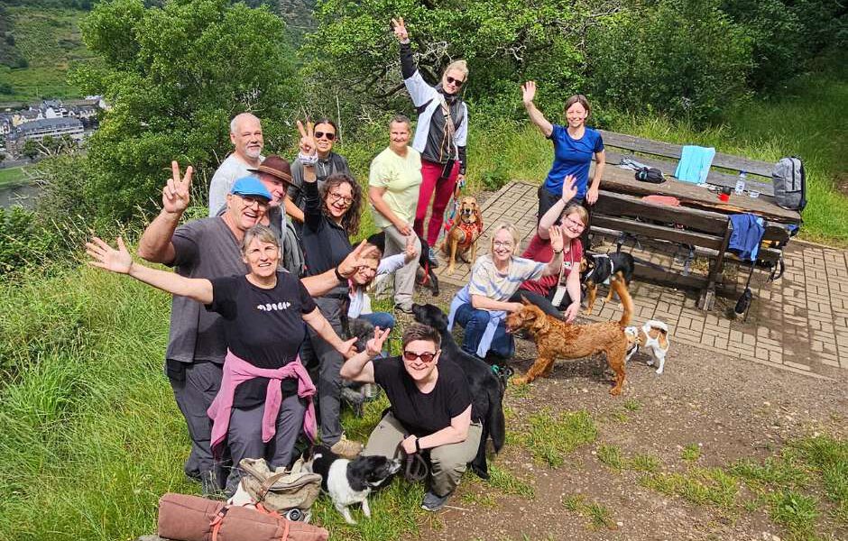 Gruppe mit Hunden wandert gemeinsam bei Hundewochenende Mosel