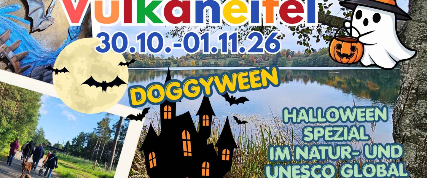 Halloween mit Hund