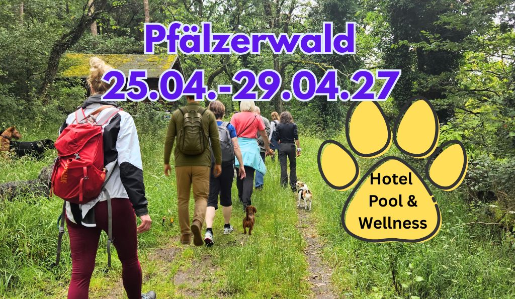 Gruppenreise mit Hund in den Pfälzer Wald